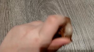 новинка в моей коллекции динозавров Mattel