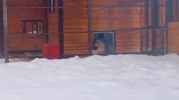 17022026г Иван у Киары [get.gt]