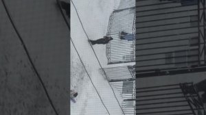 что у нас на школьном дворе