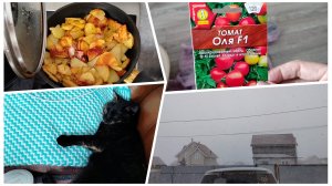 Испугалась за соседа😯 Таблетки от голода😋