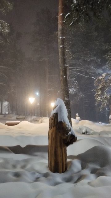 PXL_20260219_064338926 смотреть онлайн