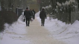 Заболеваемость коронавирусом снова растет в Воронежской области