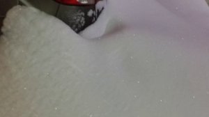 19-02-2026 В Москве снег,метель и сугробы по пояс