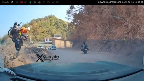 الصين.. دمى باندا آلية تتجول بشكل جذاب في الشوارع