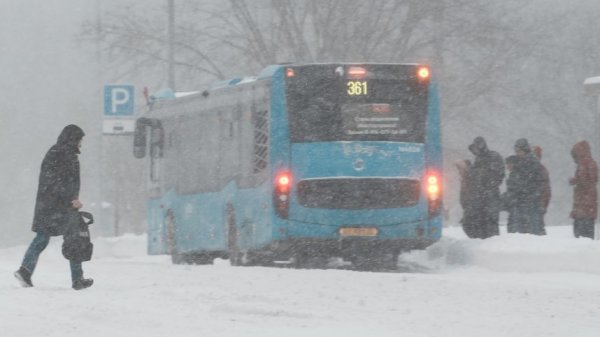 Снег стеной: московский регион накрыли рекордные осадки