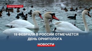 Севастопольские орнитологи рассказали о видах птиц, которые зимуют в бухте Круглой
