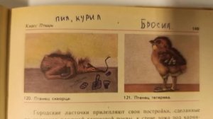 Лютые рисунки в учебнике СССР