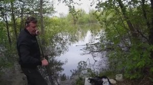 Дикий рыбак.