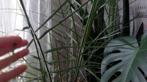 Вязание, погода, Масленица. ВЛОГ