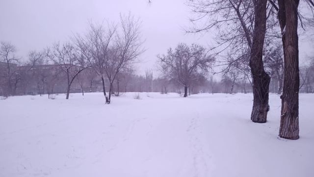 Прогулка по парку 19.02.2026 смотреть онлайн