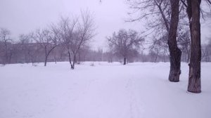 Прогулка по парку 19.02.2026