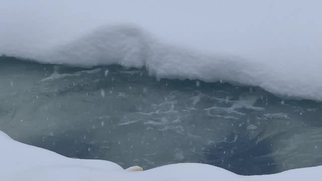 36608.mp4 смотреть онлайн