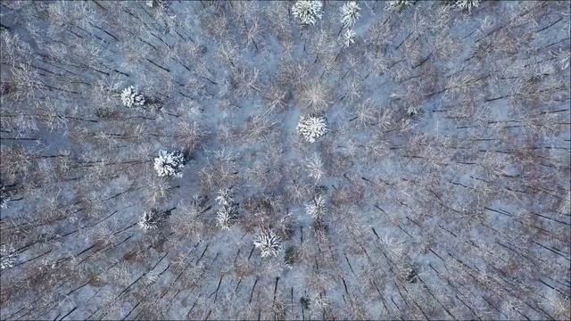 19 Февраля - Магия числа. Ваш порог удачи. смотреть онлайн