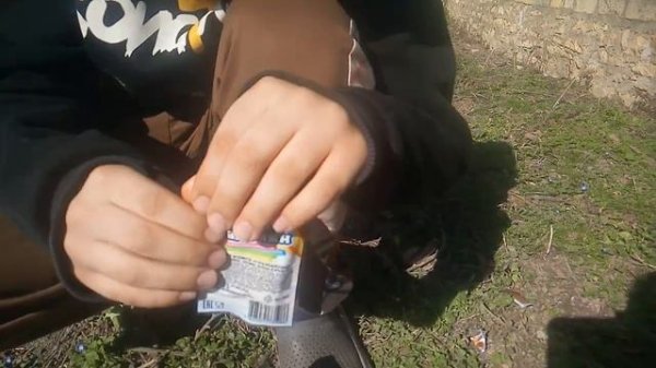 ОБЗОР НА ПИКНИК