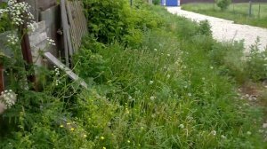 Дом в деревне