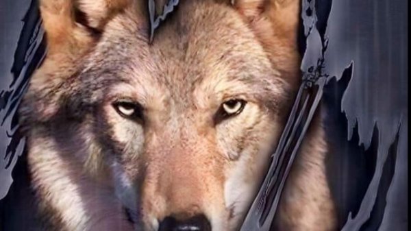 Garik Garik-Одинокий Волк...💥💥💥