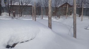 Ну и погода ...то +2  , а на следующий день - 33.