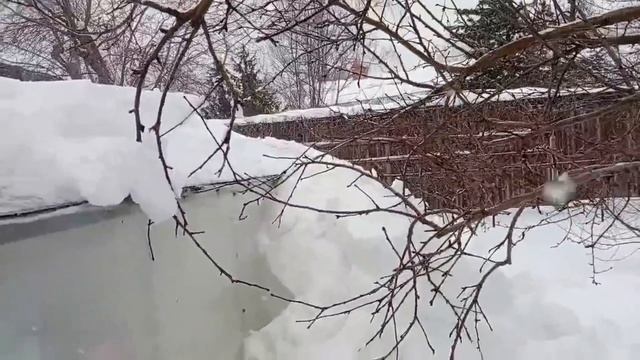 19.02.2026 попыталась почистить теплицу и у меня ничего не получилось, позвала на помощь супруга. смотреть онлайн