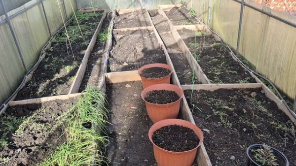 НАЧАЛОСЬ В КОЛХОЗЕ УТРО 🤣🤣🤣ВИДЕО ОТ ДОЧЕНЬКИ