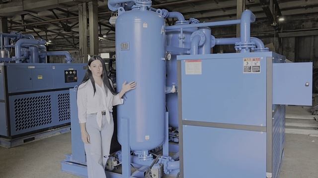 Комбинированный адсорбционный осушитель PSA от Шельфтехпроект — обзор и применение