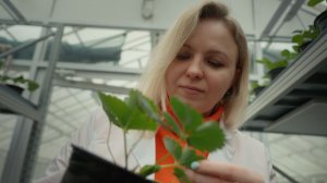 Выпуск #100 "Малина-аристократка, «повелители мух» и пробиотики нового поколения"