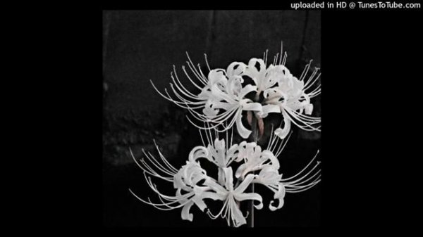 free crank x swapa x experimental type beat - shoota p by jiro [get.gt]