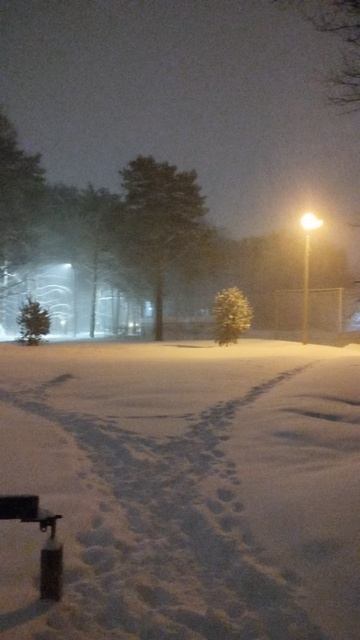 PXL_20260219_063817296 смотреть онлайн