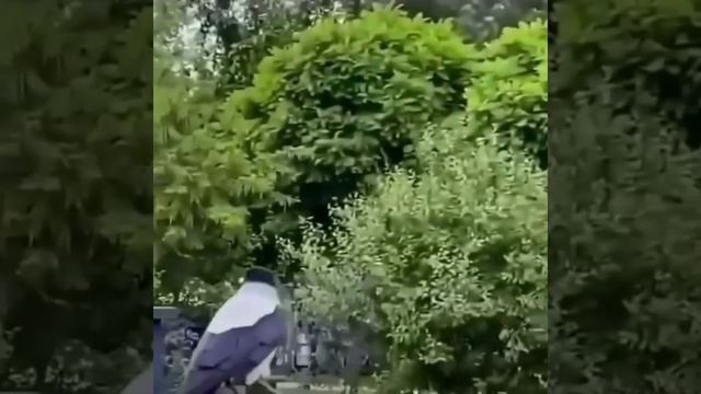 Тестовая запись 2 смотреть онлайн