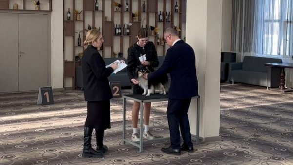 copy_A1B355B2-420A-433B-80C6-E9762B5A0B4C