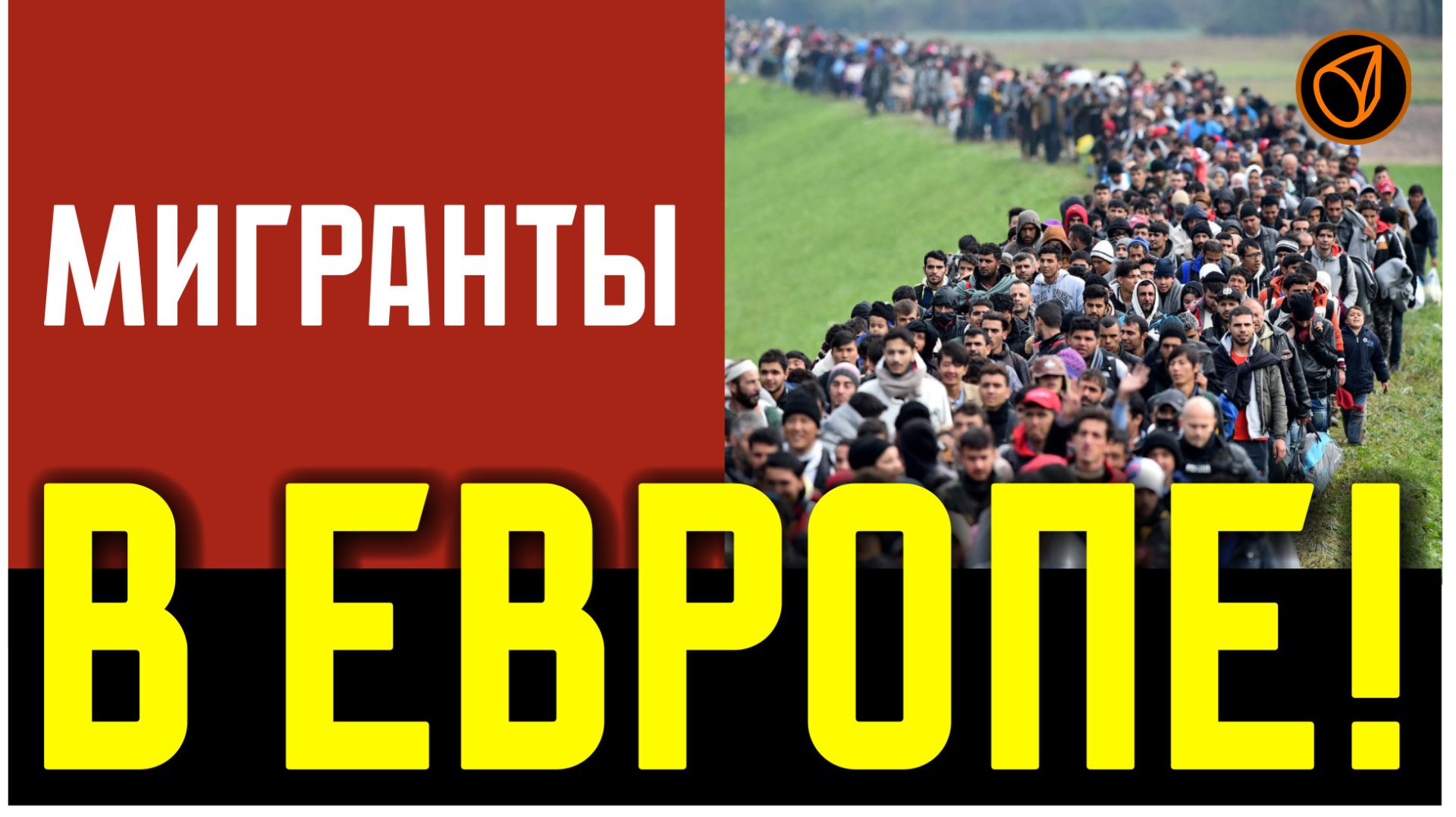 МИГРАНТЫ  В ЕВРОПЕ