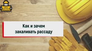 Как и зачем закаливать рассаду