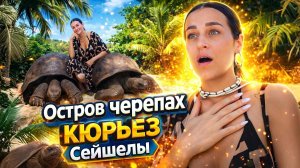 ОСТРОВ ЧЕРЕПАХ | КЮРЬЁЗ | Сейшелы