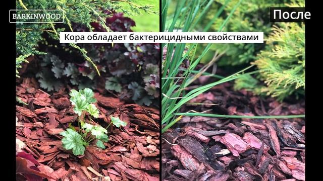 Преображение участка корой лиственницы
