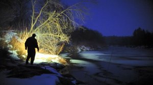 Бобр. Охота зимой из засидки