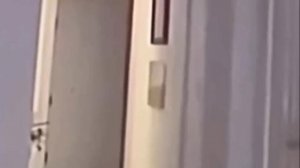 Паранормальное Явление в Ветеринарной Клинике