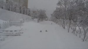 Белый город  Песни Ольги Егоровой (Шелиховой)