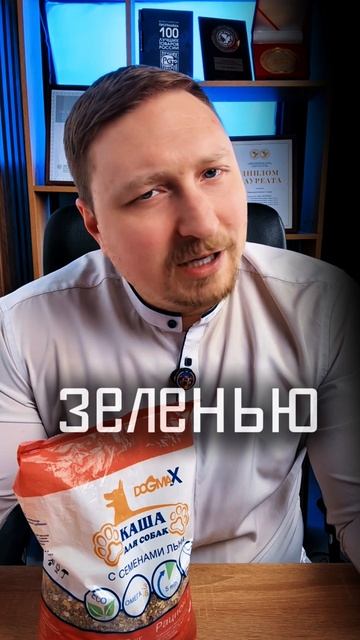 Можно ли собаке сыр? Всё о сыре 🐶🧀 #сыр #собаки #кашадлясобак