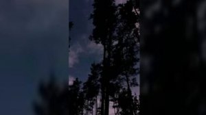 вайбовый плейлист кайф ( speed up )