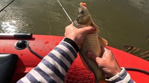 Зеленга Астраханская область Рыбалка 3 часть Зеленга Форева