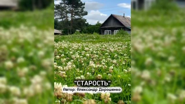 Старость _ песня о прожитой жизни _ Old Age Song _ смотреть онлайн