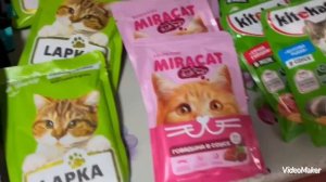 Ирина пришла из магазина, накупила много нужного и не нужного