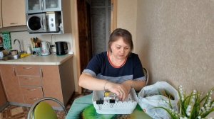 Готовлюсь к посадочному сезону / Разбираю семена / Что буду сажать