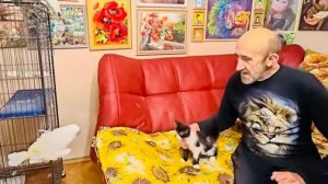 Попугай Жорик как лев снова кидается на Влада защищая любимую Киру)))