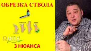 Обрезка ствола растения: 3 нюанса