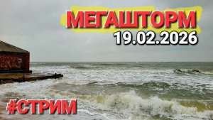 Азовский молот #стрим На Азовском море #Голубицкая Пляжи в хлам 19.02.2026