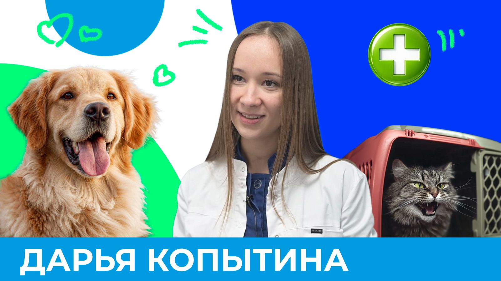 Как найти подход к пушистому пациенту? | Короче, Омск 655