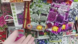 В Новосибирске капель / Номера гостиницы / Семена