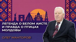 Легенда о белом аисте и правда о птицах Молдовы