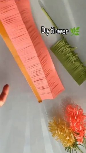 MOV_20260219_165131_132.mp4