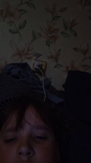 играем в супер медведя